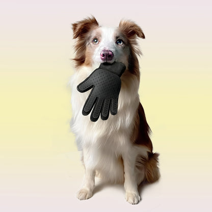 Floof Daddy™     2-In-1 Scrub Gloves